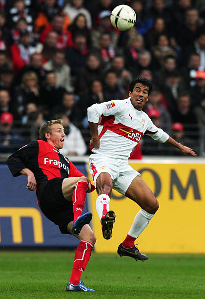 它深入挖掘 它深入挖掘